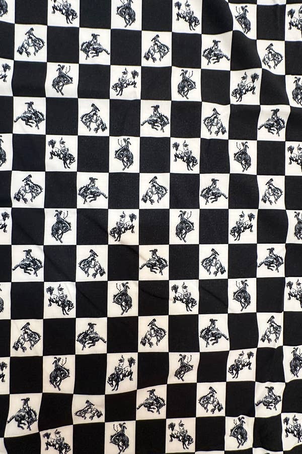 Western Checker Print Scarf