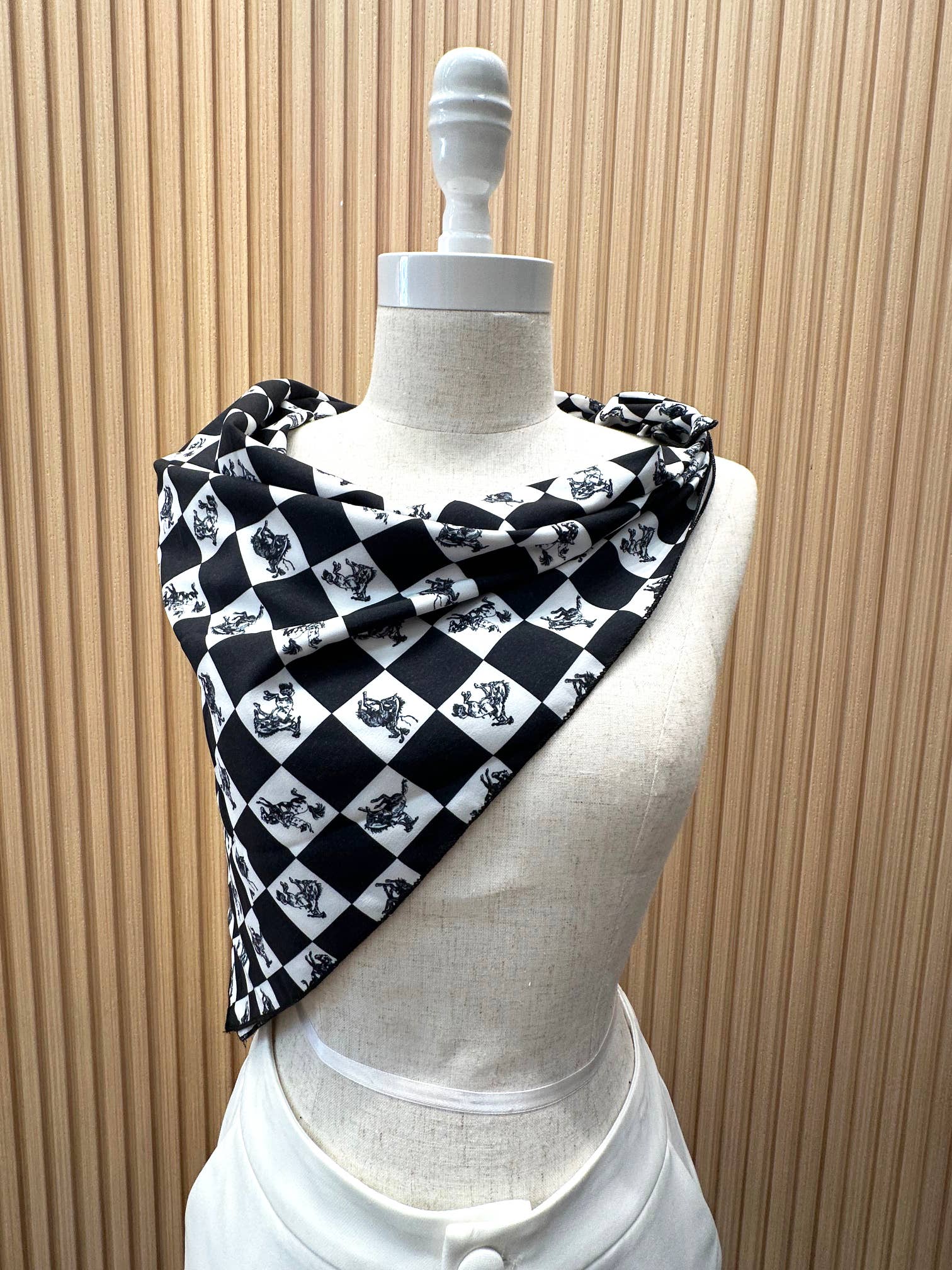 Western Checker Print Scarf